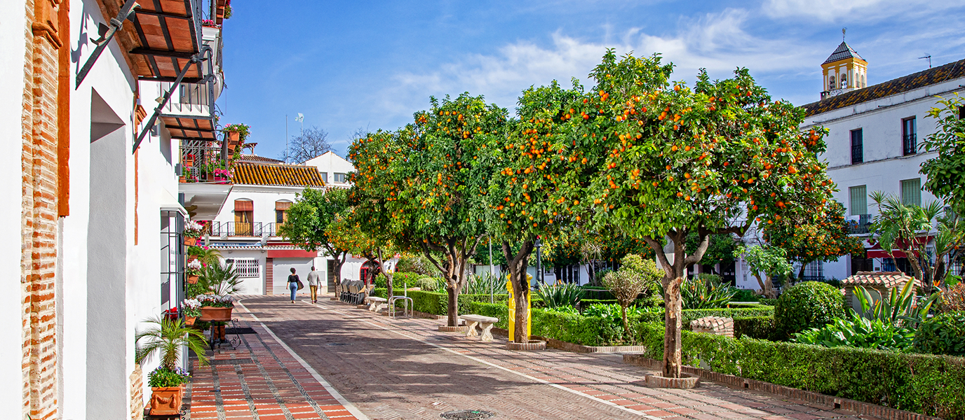 Marbella Center